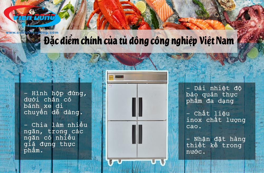 Tủ đông công nghiệp Việt Nam - Thiết bị bảo quản thực phẩm không thể thiếu