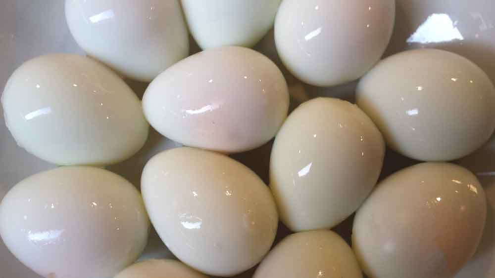 máy bóc trứng