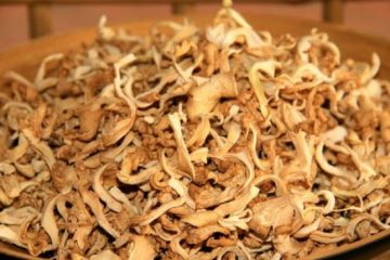 Đâu là kỹ thuật sấy nấm khô nhanh và giữ chất lượng tốt nhất?
